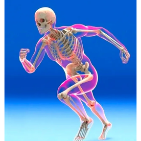 Kit Saúde Óssea - K2 + D3 + Calcitrax