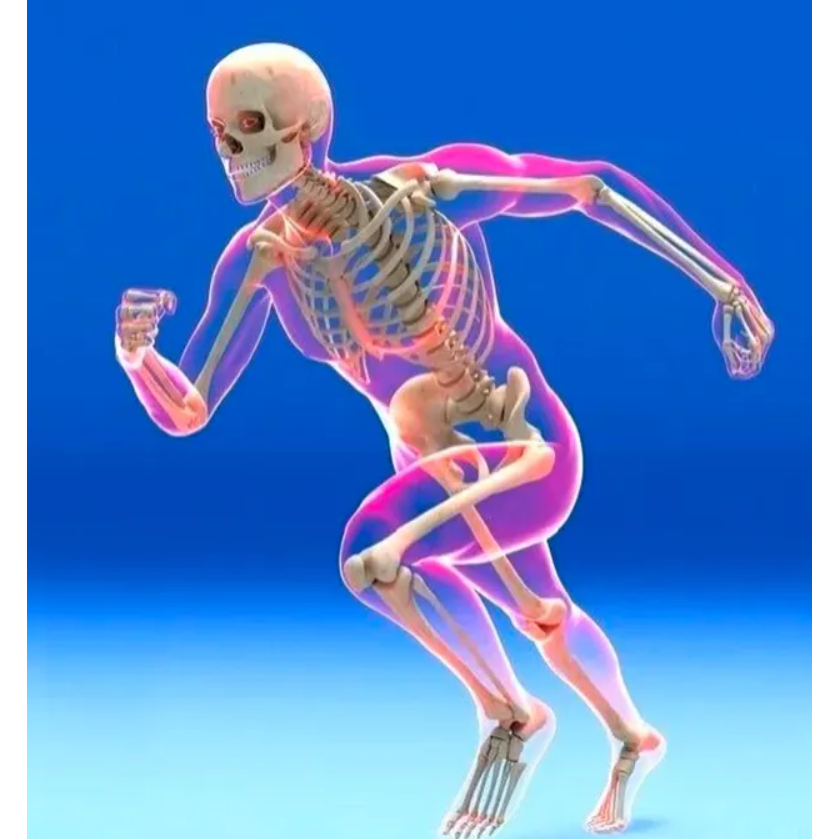 Kit Saúde Óssea - K2 + D3 + Calcitrax